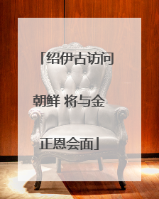 绍伊古访问朝鲜 将与金正恩会面