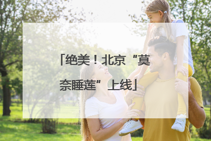 绝美！北京“莫奈睡莲”上线