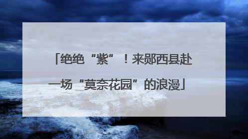 绝绝“紫”！来郧西县赴一场“莫奈花园”的浪漫