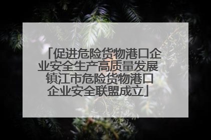 促进危险货物港口企业安全生产高质量发展 镇江市危险货物港口企业安全联盟成立