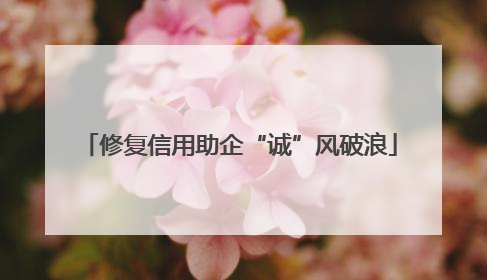 修复信用助企“诚”风破浪