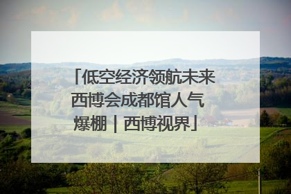 低空经济领航未来 西博会成都馆人气爆棚｜西博视界