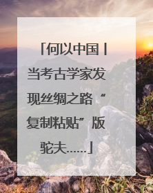 何以中国丨当考古学家发现丝绸之路“复制粘贴”版驼夫……