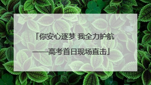 你安心逐梦 我全力护航——高考首日现场直击