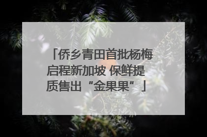 侨乡青田首批杨梅启程新加坡 保鲜提质售出“金果果”