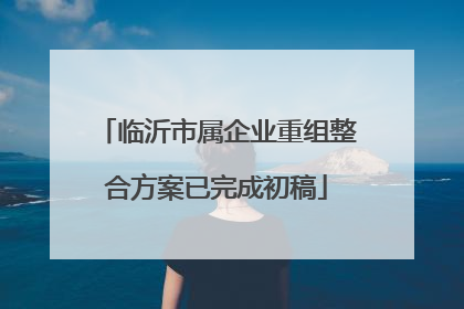 临沂市属企业重组整合方案已完成初稿