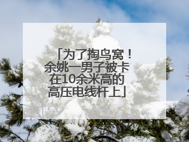 为了掏鸟窝！余姚一男子被卡在10余米高的高压电线杆上