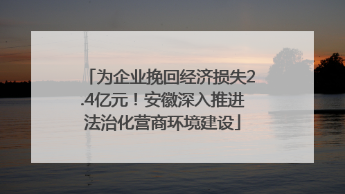 为企业挽回经济损失2.4亿元！安徽深入推进法治化营商环境建设