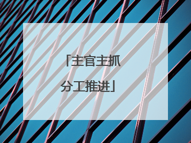 主官主抓 分工推进