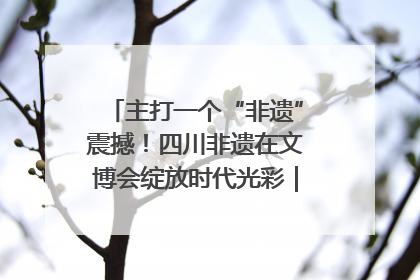 主打一个“非遗”震撼！四川非遗在文博会绽放时代光彩｜文博向“新”
