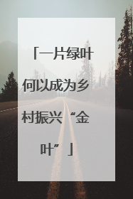 一片绿叶何以成为乡村振兴“金叶”