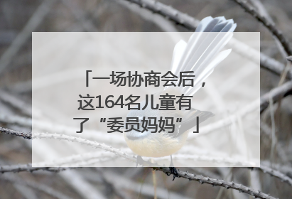 一场协商会后，这164名儿童有了“委员妈妈”