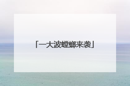 一大波螳螂来袭