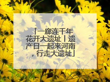 一廊连千年 花开大遗址丨遗产日一起来河南，行走大遗址