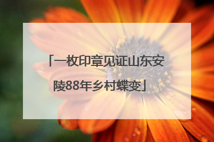 一枚印章见证山东安陵88年乡村蝶变