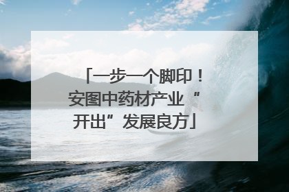 一步一个脚印！安图中药材产业“开出”发展良方