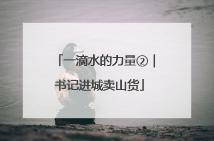 一滴水的力量②｜书记进城卖山货