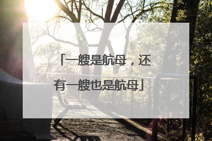 一艘是航母，还有一艘也是航母