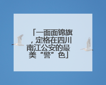 一面面锦旗，定格在四川南江公安的最美“警”色