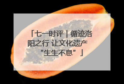 七一时评｜循迹洛阳之行 让文化遗产“生生不息”