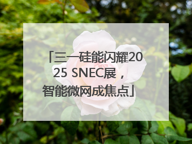 三一硅能闪耀2025 SNEC展，智能微网成焦点