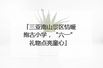 三亚南山景区情暖抱古小学，“六一”礼物点亮童心