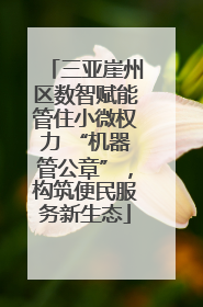 三亚崖州区数智赋能管住小微权力 “机器管公章”，构筑便民服务新生态