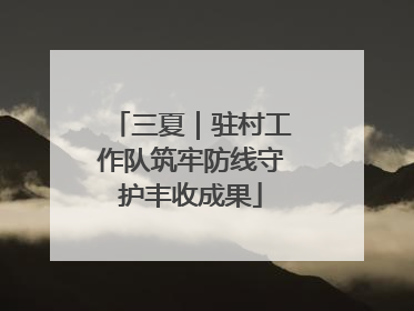 三夏｜驻村工作队筑牢防线守护丰收成果