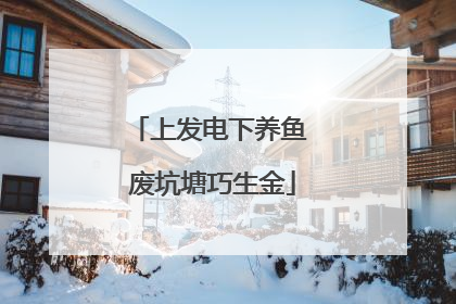 上发电下养鱼 废坑塘巧生金