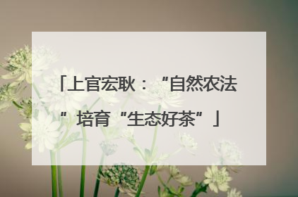 上官宏耿：“自然农法”培育“生态好茶”
