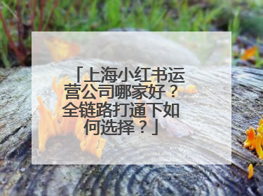 上海小红书运营公司哪家好？全链路打通下如何选择？