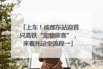 上车！成都东站迎首只高铁“宠物旅客”，来看托运全流程→