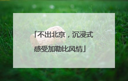 不出北京，沉浸式感受加勒比风情