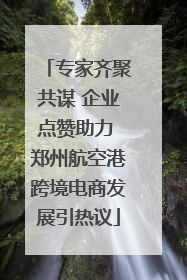 专家齐聚共谋 企业点赞助力 郑州航空港跨境电商发展引热议