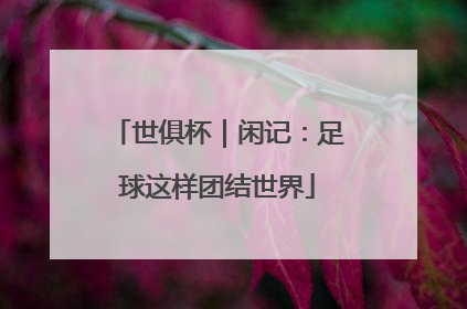 世俱杯｜闲记：足球这样团结世界