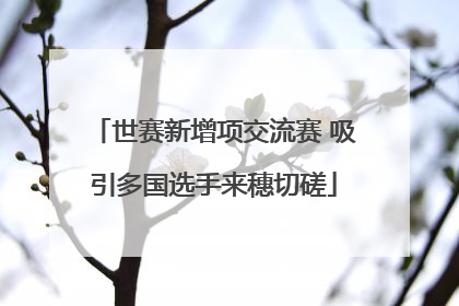 世赛新增项交流赛 吸引多国选手来穗切磋