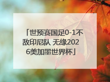 世预赛国足0-1不敌印尼队 无缘2026美加墨世界杯