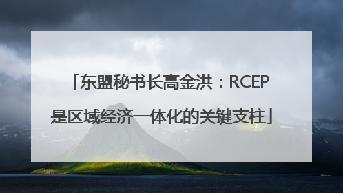 东盟秘书长高金洪：RCEP是区域经济一体化的关键支柱