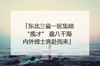 东北三省一区集结“揽才” 逾八千海内外博士奔赴而来