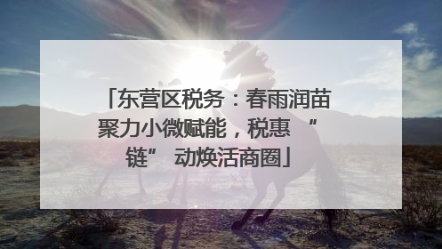 东营区税务：春雨润苗聚力小微赋能，税惠 “链” 动焕活商圈