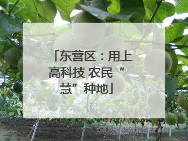 东营区：用上高科技 农民“慧”种地