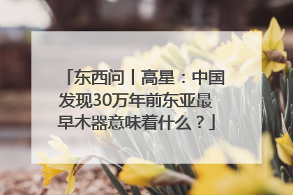 东西问丨高星：中国发现30万年前东亚最早木器意味着什么？
