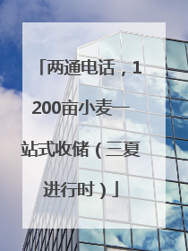 两通电话，1200亩小麦一站式收储（三夏进行时）