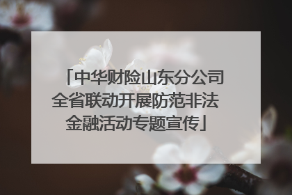 中华财险山东分公司全省联动开展防范非法金融活动专题宣传
