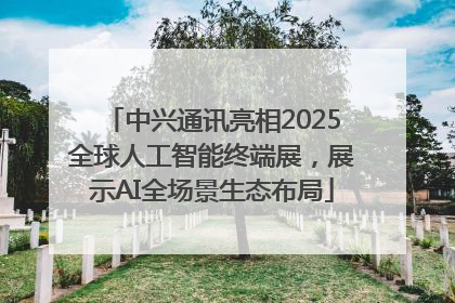 中兴通讯亮相2025全球人工智能终端展，展示AI全场景生态布局