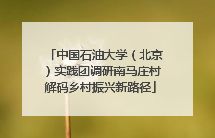 中国石油大学（北京）实践团调研南马庄村解码乡村振兴新路径