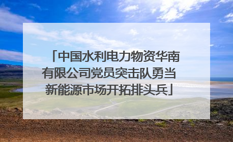 中国水利电力物资华南有限公司党员突击队勇当新能源市场开拓排头兵