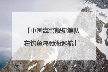 中国海警舰艇编队在钓鱼岛领海巡航