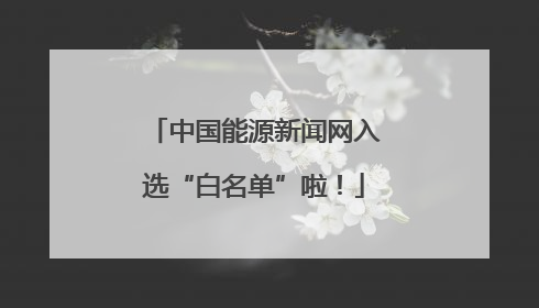 中国能源新闻网入选“白名单”啦！