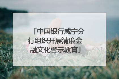 中国银行咸宁分行组织开展清廉金融文化警示教育